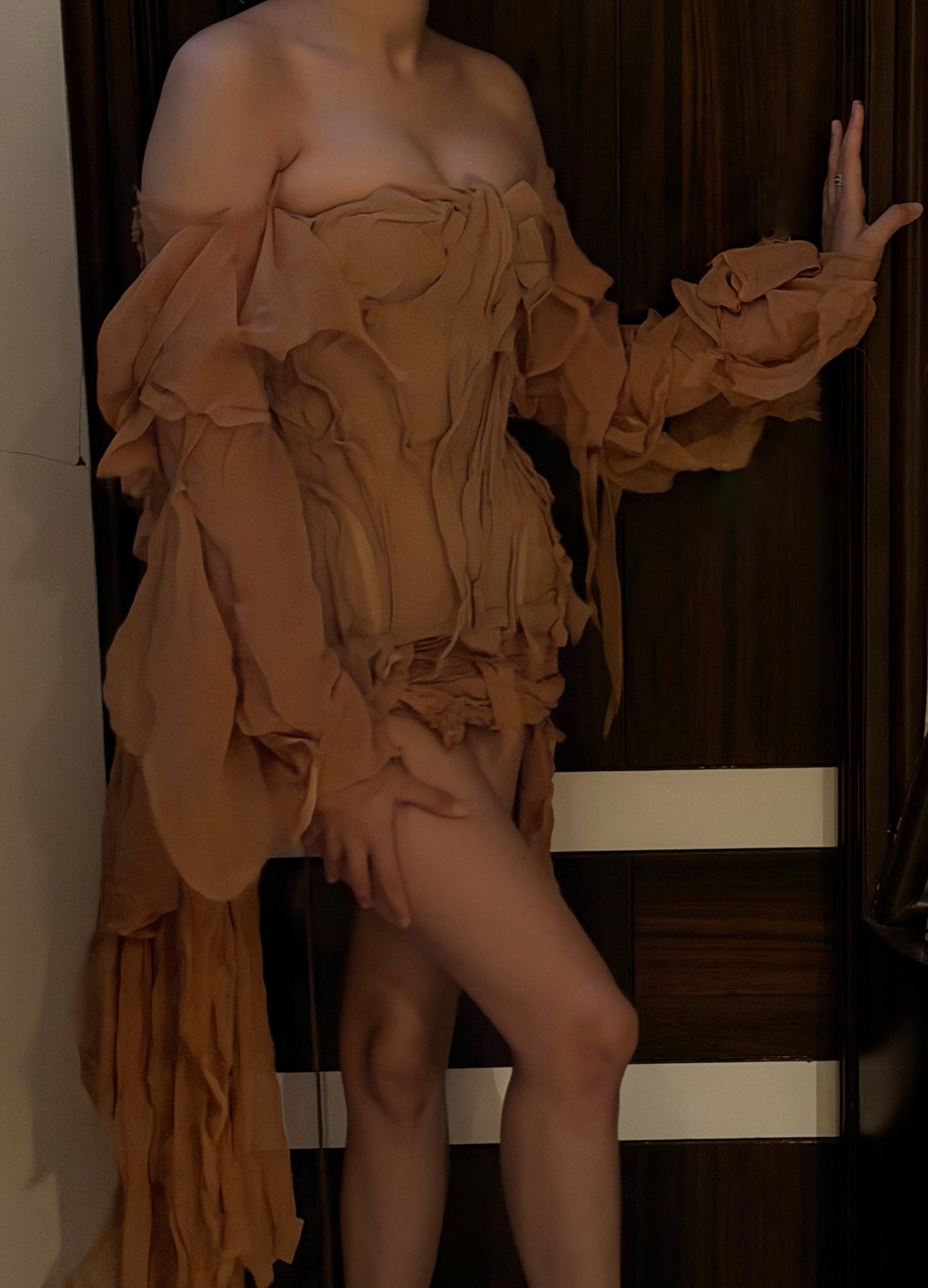 Nude Georgette Raw Corset With Sleeves